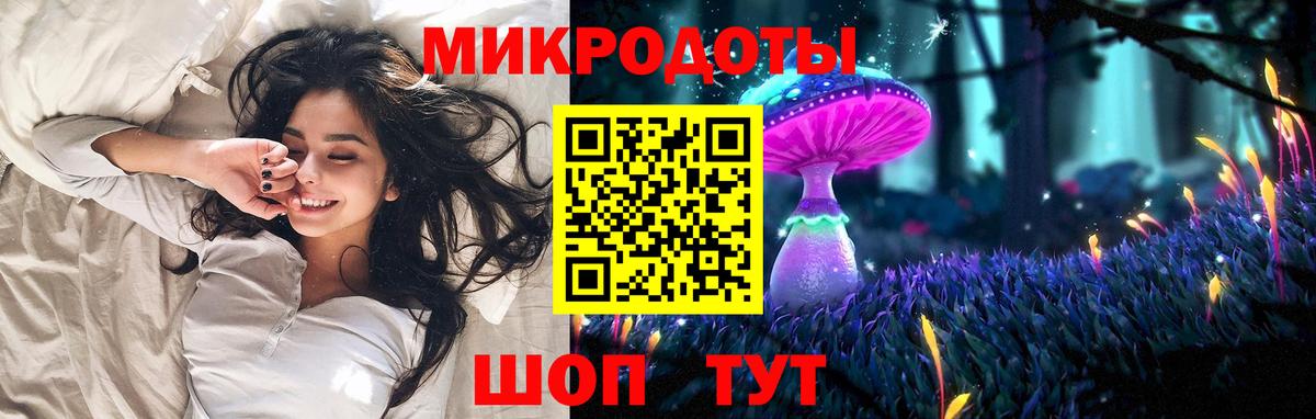 Галлюциногенные грибы мицелий  Вход с VPN  Северобайкальск  Галлюциногенные грибы GOLDEN TEACHER 